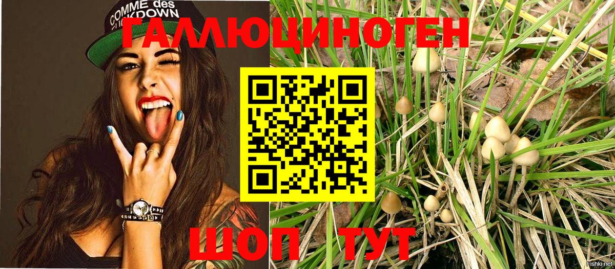 Верхний Уфалей  Псилоцибиновые грибы мухоморы  Псилоцибиновые грибы Magic Shrooms  где купить   Вход с VPN 